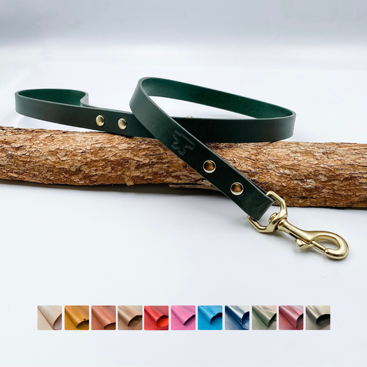 Basic Leather Lead – Custom Dog Lead