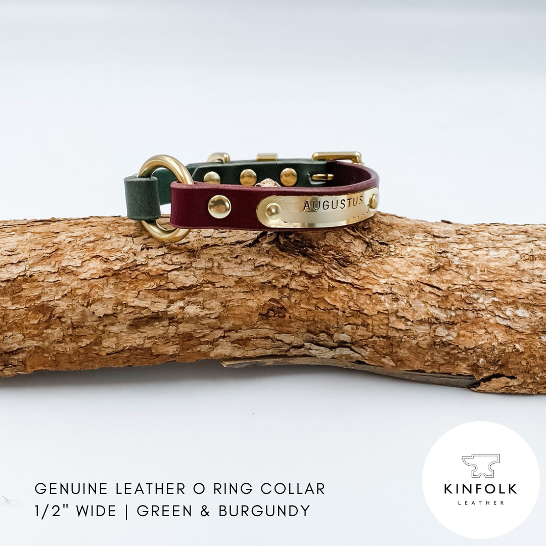 Green and burgundy leather dog collar with gold hardware on a wooden branch, branded 'KINFOLK LEATHER'.