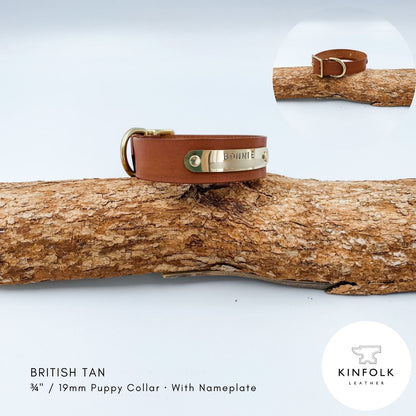 British Tan leather puppy collar with personalised brass nameplate