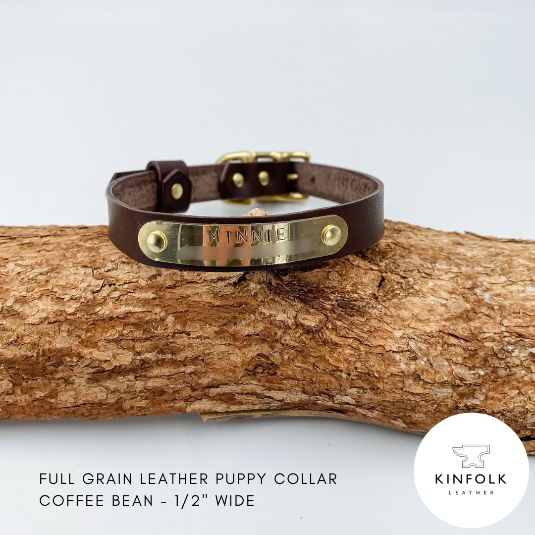 Soft Leather Brown Puppy Collar with personalised brass nameplate - custom made in NZ by Kinfolk Leather