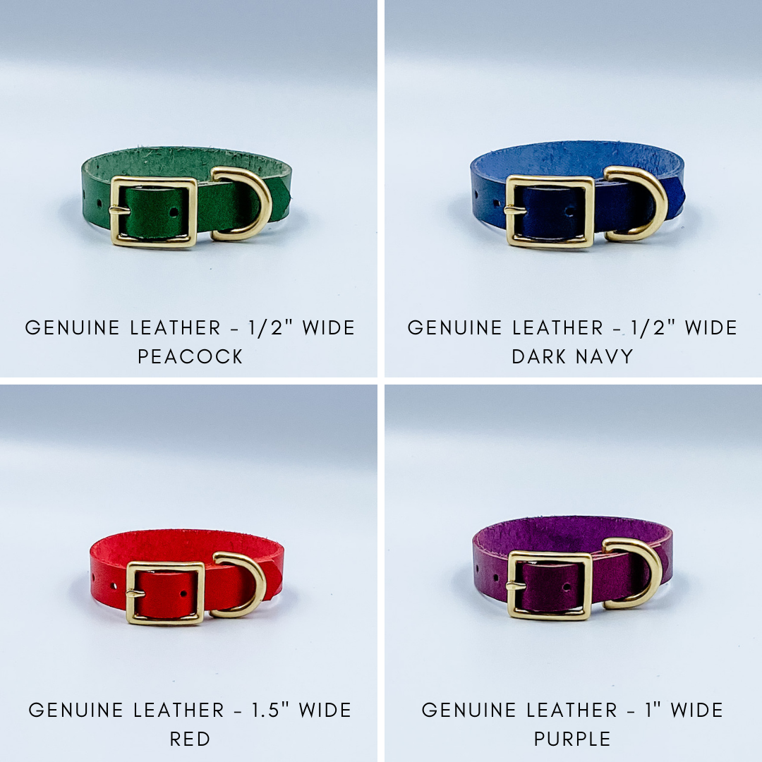 Custom Leather Puppy Collars - Custom made by Kinfolk Leather in NZ