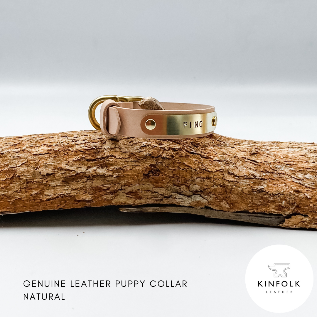Soft Leather Puppy Collar with personalised brass nameplate - custom made in NZ by Kinfolk Leather