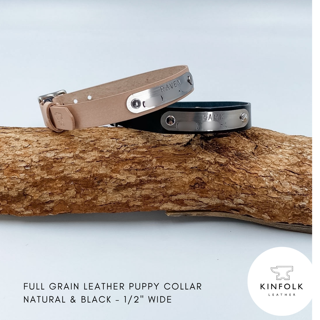 Soft Leather Black Puppy Collar with personalised brass nameplate - custom made in NZ by Kinfolk Leather