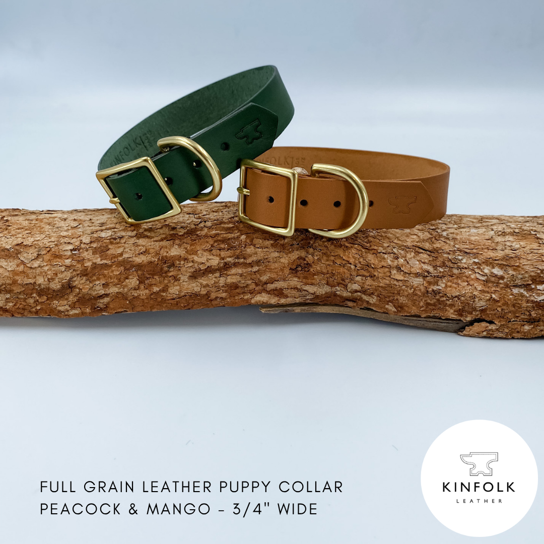 Soft Leather Green and Tan Puppy Collar with personalised brass nameplate - custom made in NZ by Kinfolk Leather