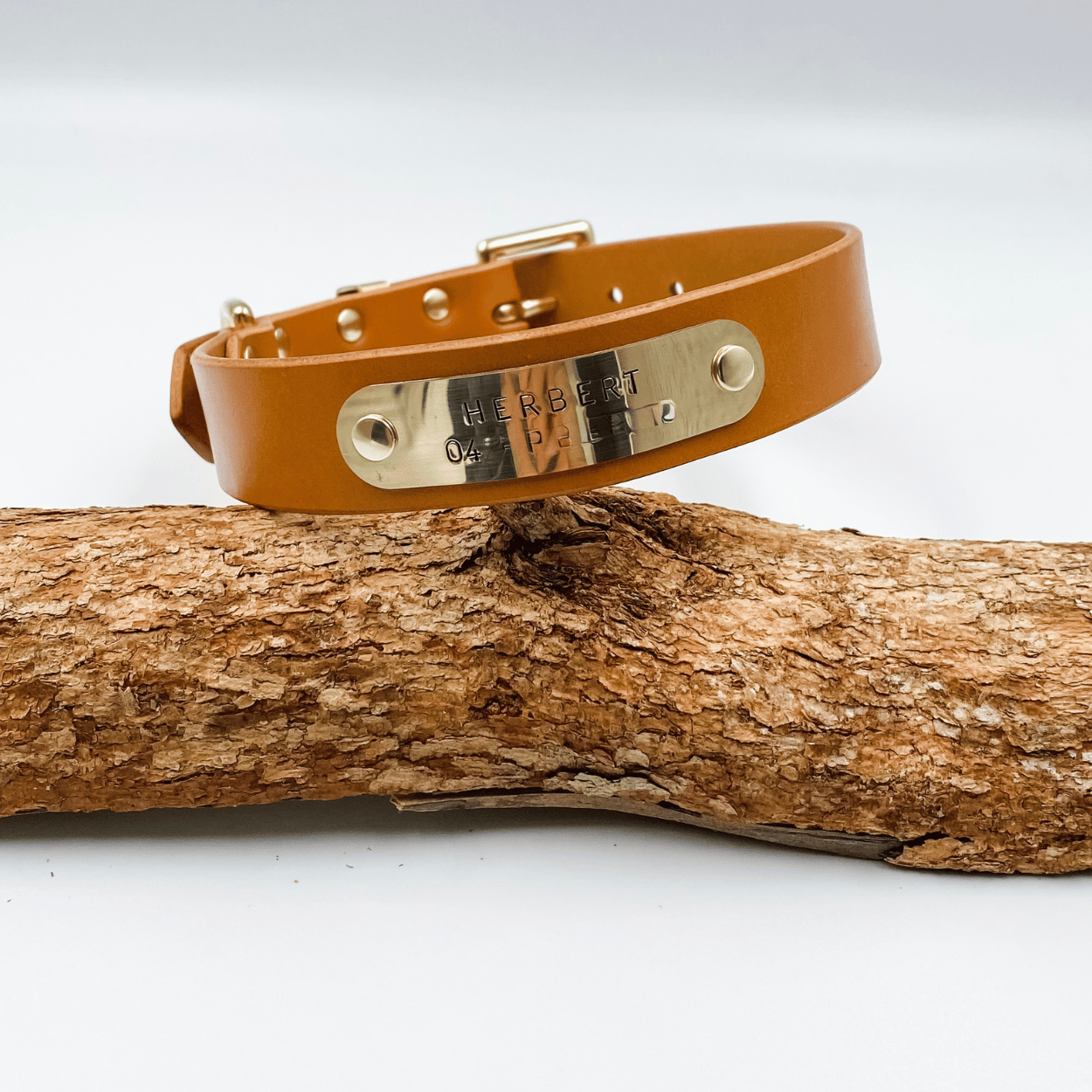 Brown leather dog collar with a gold tag on a wooden log