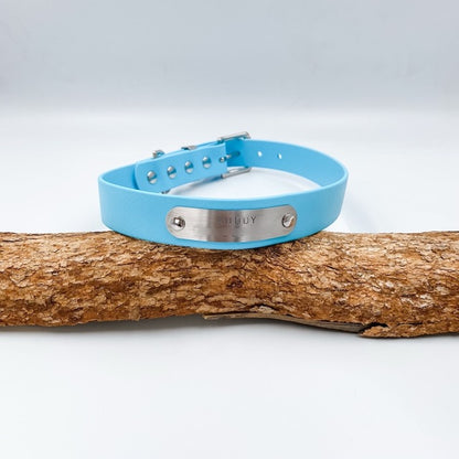 Light blue dog collar with a silver tag on a wooden branch against a white background