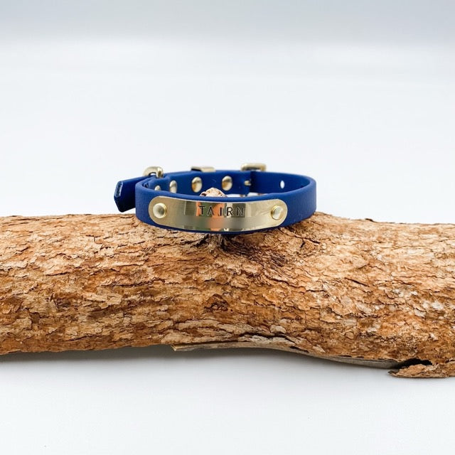 Blue dog collar with gold tag on a wooden log against a white background