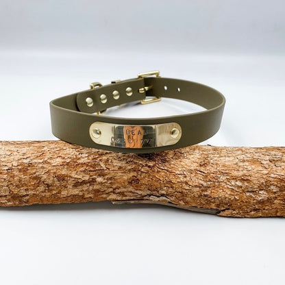 Green leather dog collar with metal plates on a wooden log against a white background