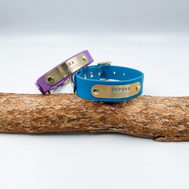 Two dog collars, one purple and one blue, with brass tags on a wooden branch.