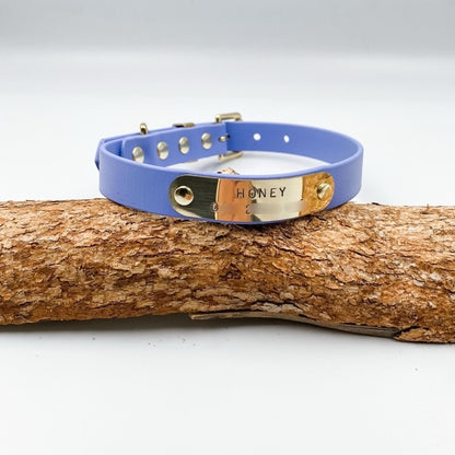 Blue dog collar with gold tag on a wooden log against a white background