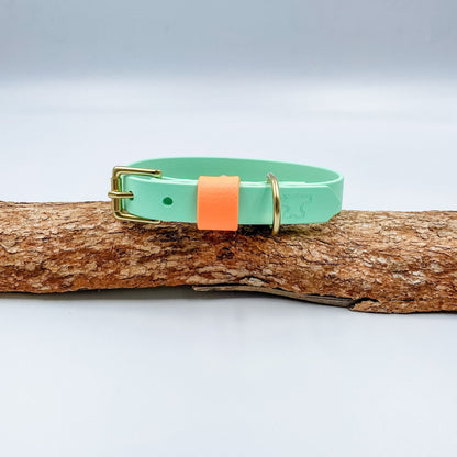 Mint BioThane dog collar with a contrasting mandarin keeper and solid brass hardware, handmade in New Zealand.