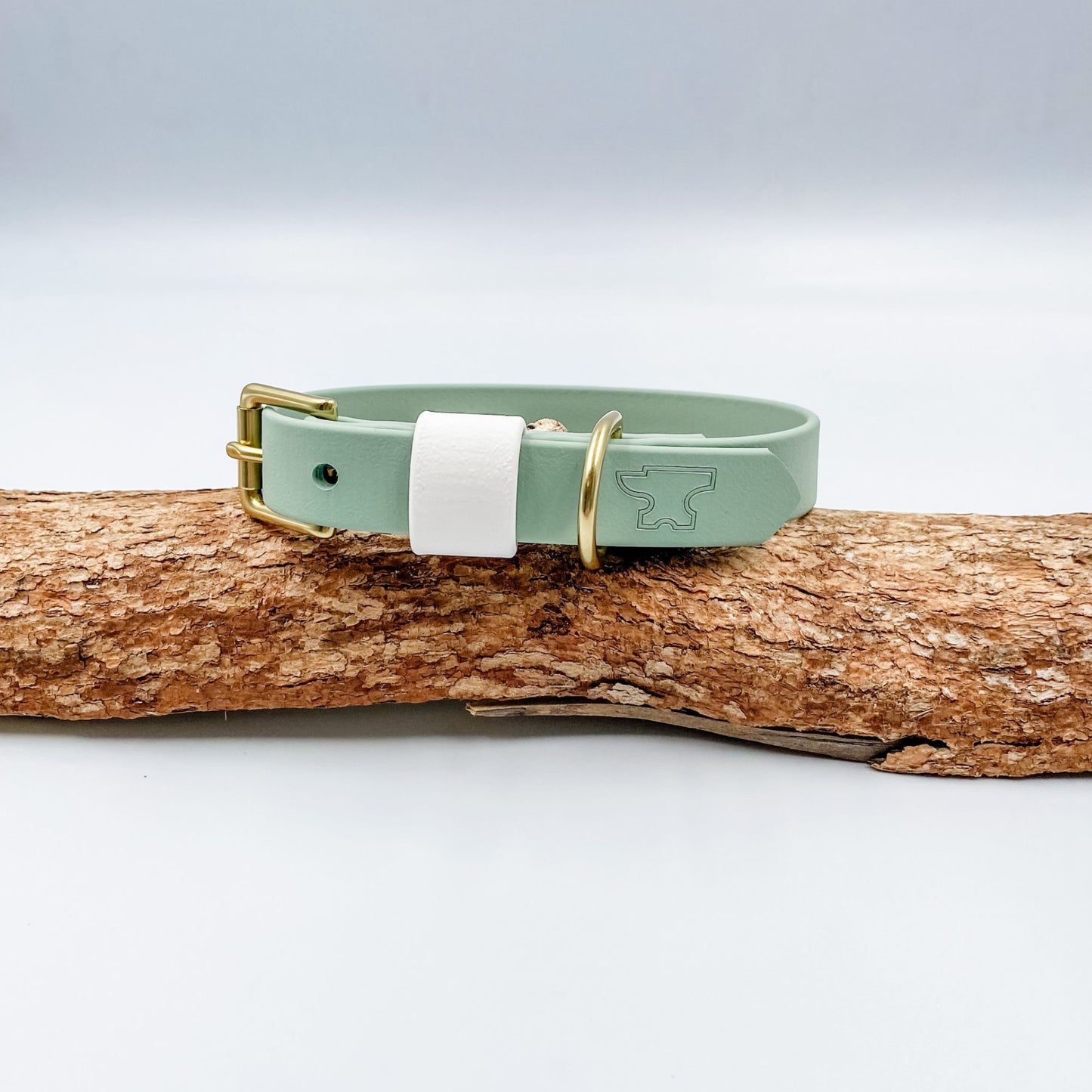 Sage green BioThane dog collar with a crisp white keeper and solid brass hardware, handmade in New Zealand.