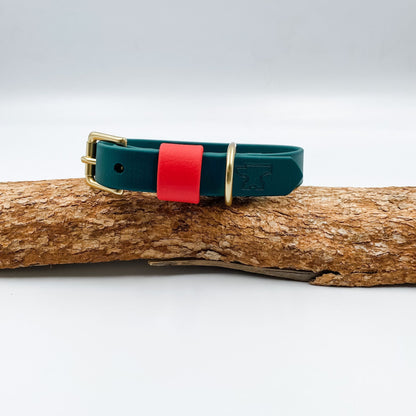 Forest green BioThane dog collar with a red keeper and solid brass hardware, inspired by the pōhutukawa blossom, handmade in New Zealand.