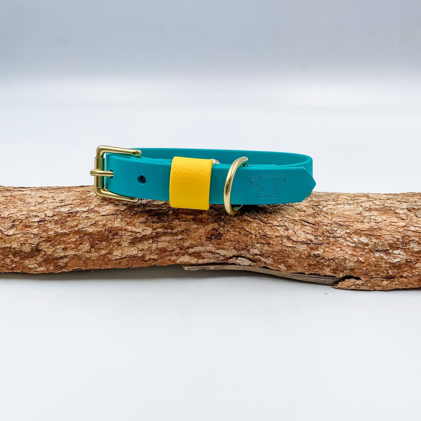 Teal green BioThane dog collar with a bright yellow keeper and solid brass hardware, handmade in New Zealand.