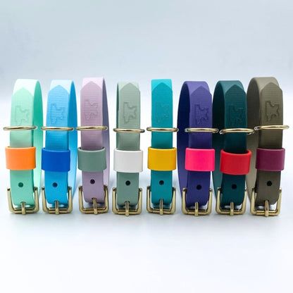 A flat-lay of eight Ready to Wear BioThane dog collars in assorted colours, each with contrasting keepers and solid brass hardware, handmade in New Zealand.