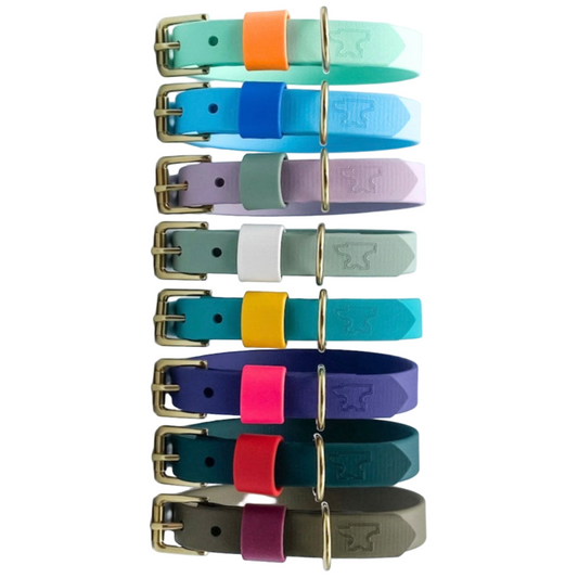 Set of colorful dog collars stacked on a white background