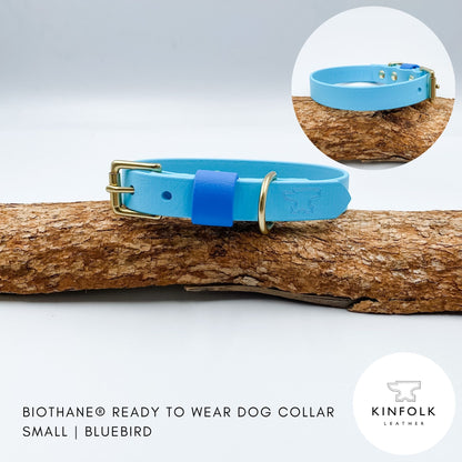 Light blue BioThane dog collar with a sky-blue keeper and solid brass hardware, handmade in New Zealand.