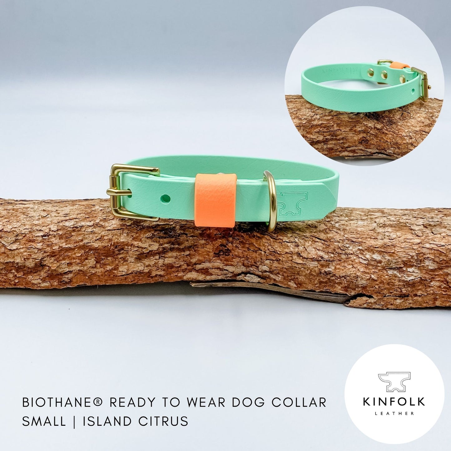 Mint BioThane dog collar with a contrasting mandarin keeper and solid brass hardware, handmade in New Zealand.