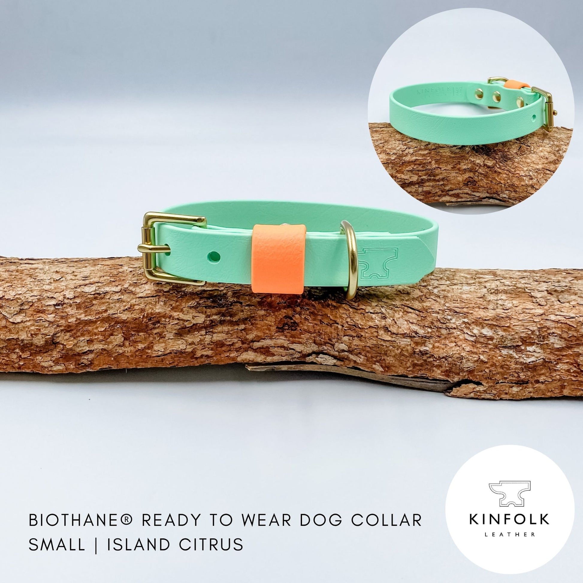 Mint BioThane dog collar with a contrasting mandarin keeper and solid brass hardware, handmade in New Zealand.