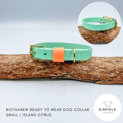 Mint BioThane dog collar with a contrasting mandarin keeper and solid brass hardware, handmade in New Zealand.