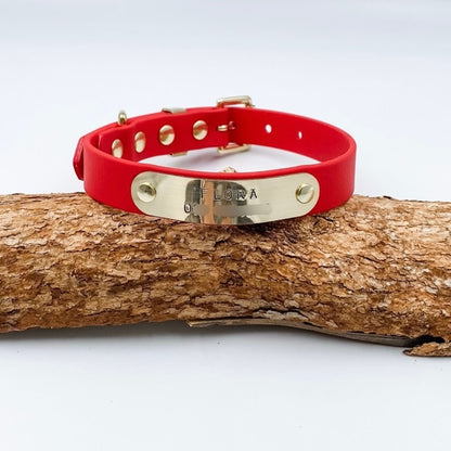 Red dog collar with gold tag on a wooden log against a white background