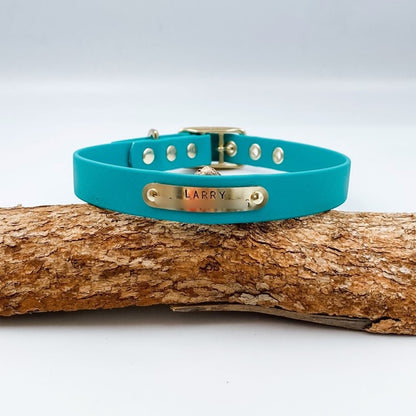 Turquoise dog collar with a gold tag labeled 'LARRY' on a wooden log.