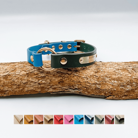 Two Tone Blue and Green Dog Collar with O Ring and handstamped brass nameplate - custom made in New Zealand by Kinfolk Leather