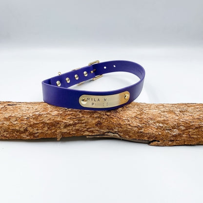 Blue leather dog collar with a gold tag on a wooden log against a white background