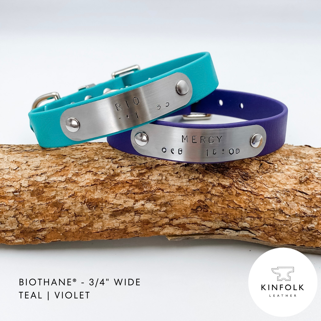 Waterproof BioThane Dog Collars - Custom Made in NZ by Kinfolk Leather - Green and Purple