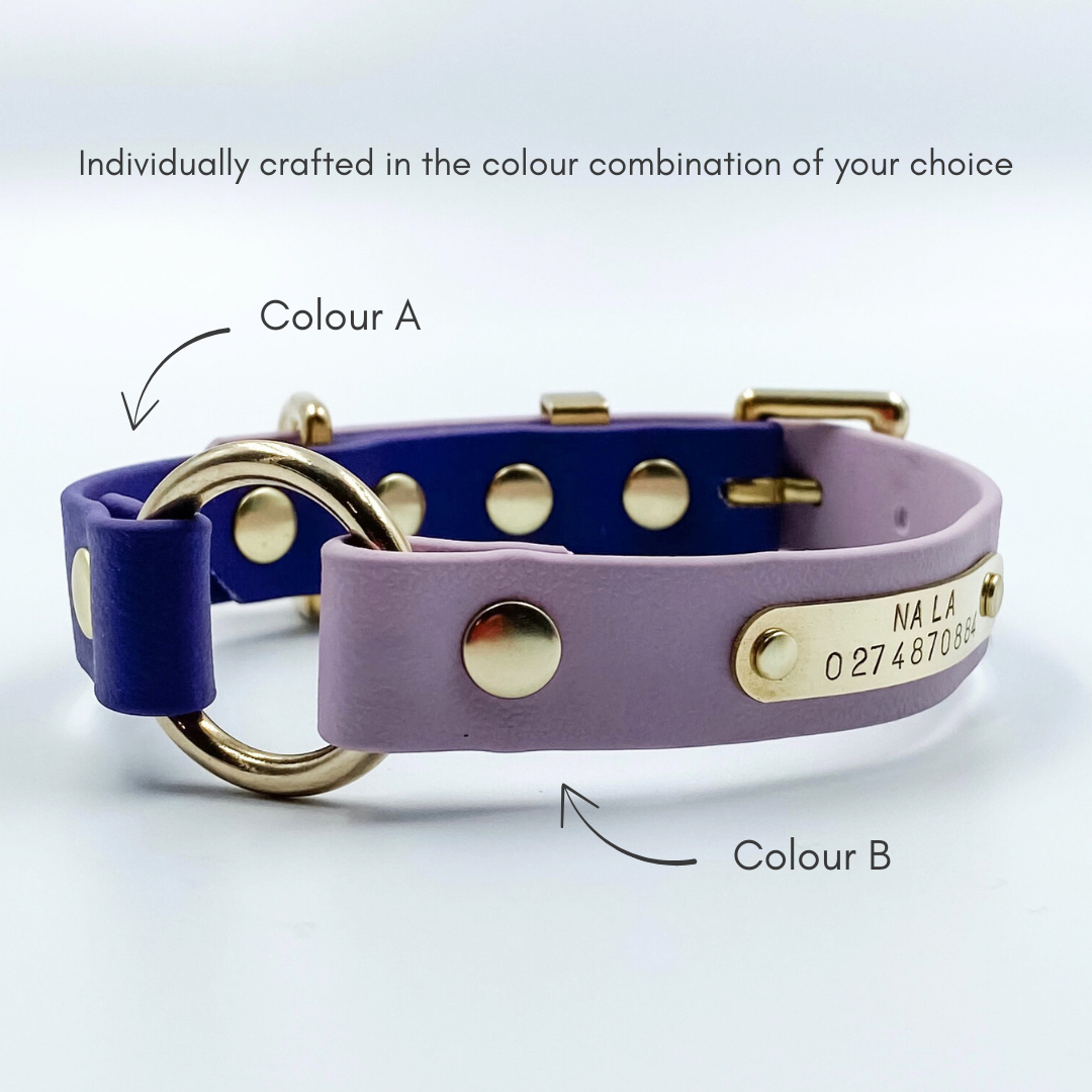 Waterproof BioThane custom O ring dog collar made in NZ by Kinfolk Leather. Your choice of two colours