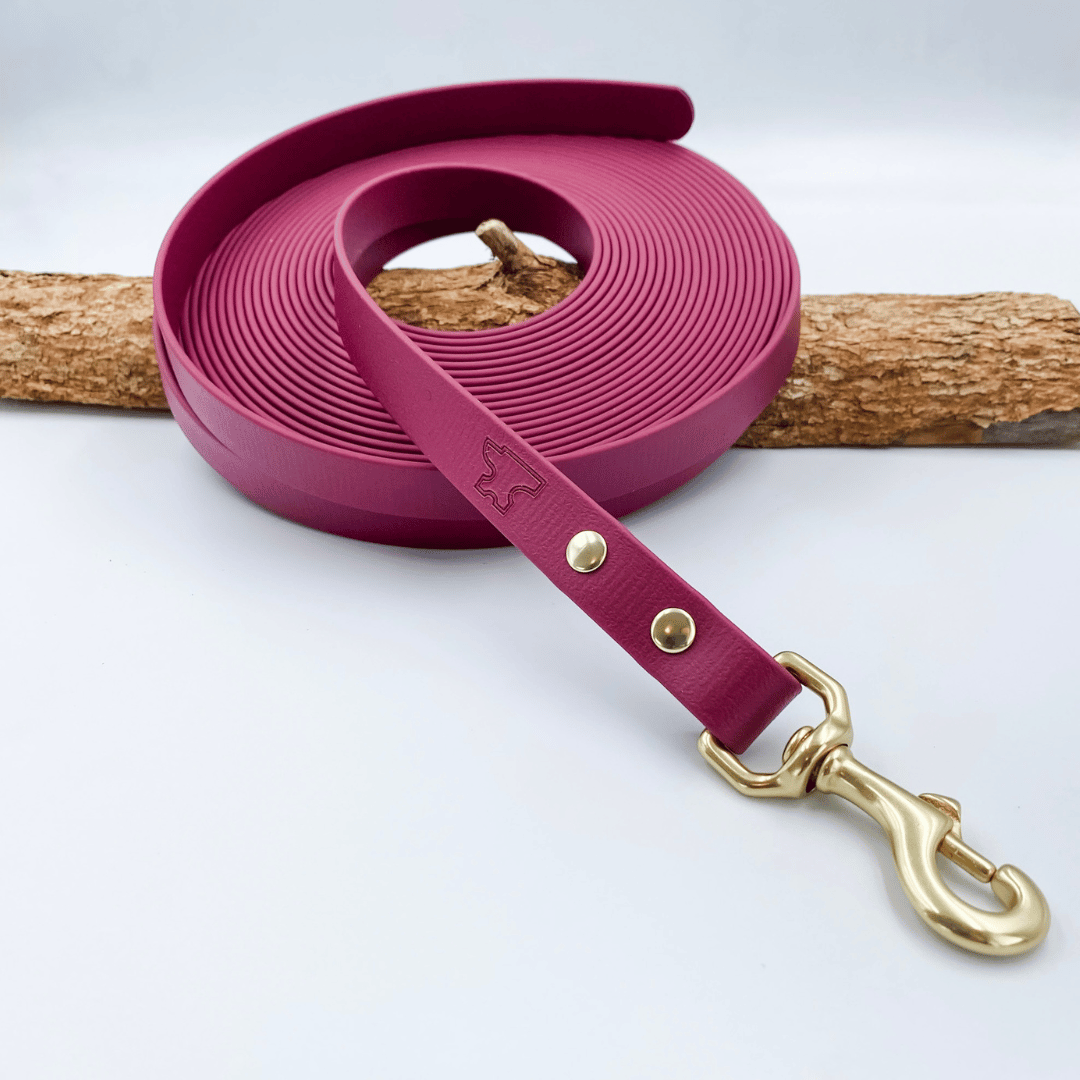 Waterproof BioThane® Drag Line - Trailing Long Line Dog Lead