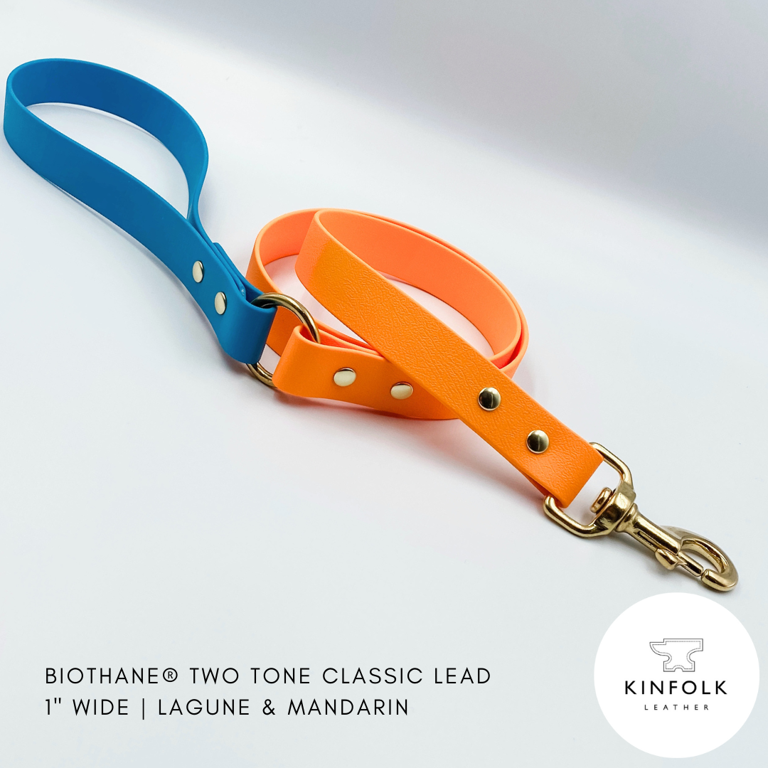 Two-tone blue and orange leather dog lead with gold clasp on a light gray background, featuring Kinfolk Leather branding.