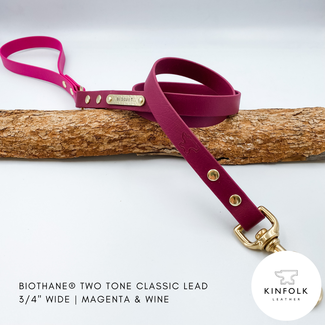 Two-tone magenta and wine leather dog lead with gold hardware on a white background