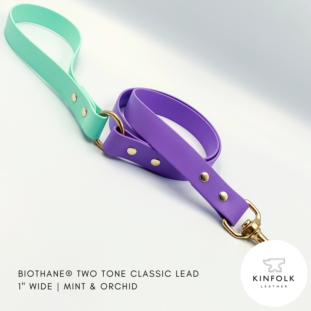 Two-tone mint and orchid dog lead with gold hardware on a white background, featuring the Kinfolk Leather logo.