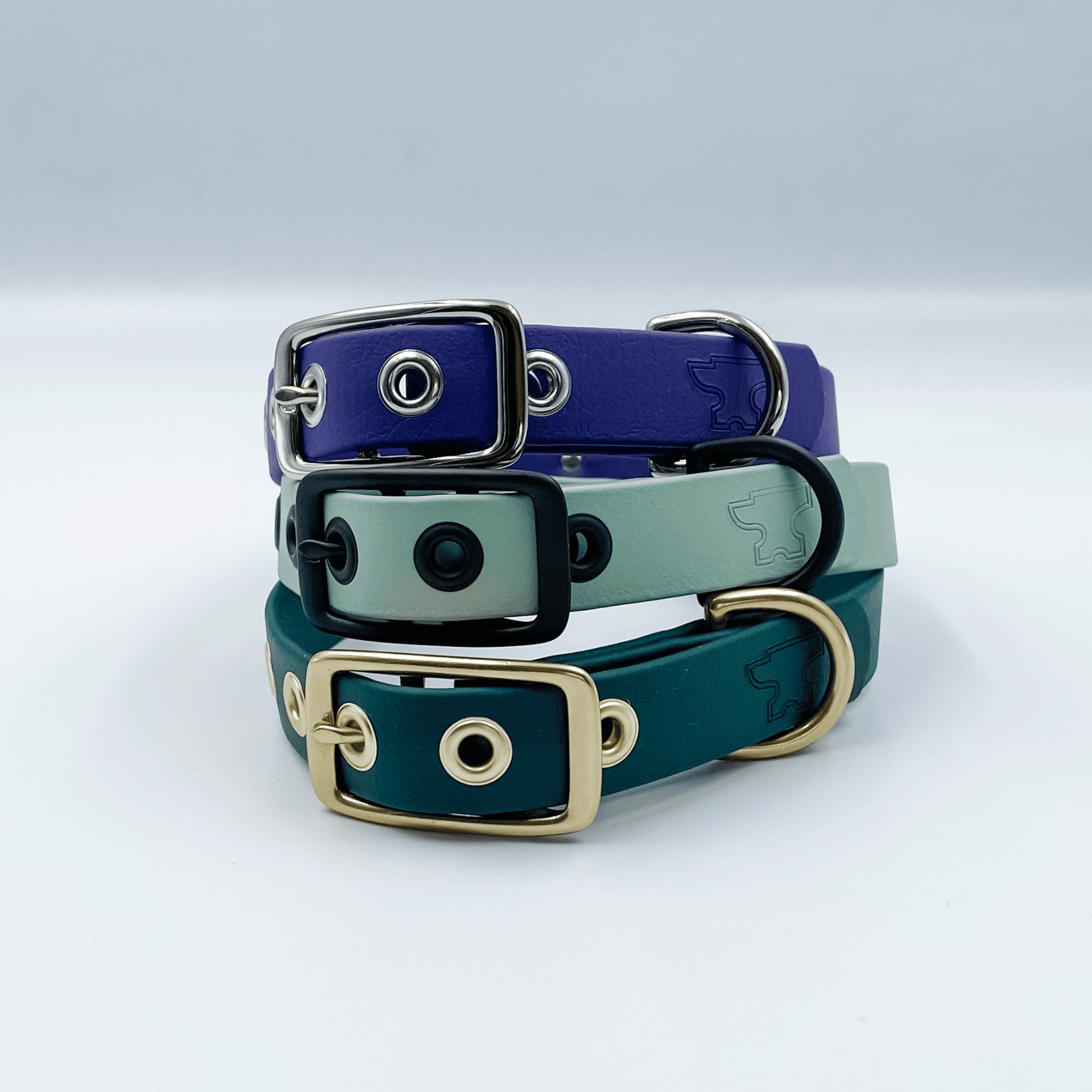 Custom Made Dog Collar with handstamped nameplate - Waterproof Biothane and Solid Brass - View showing purple collar with silver buckle green collar with black buckle and green collar with brass buckle - Kinfolk Leather