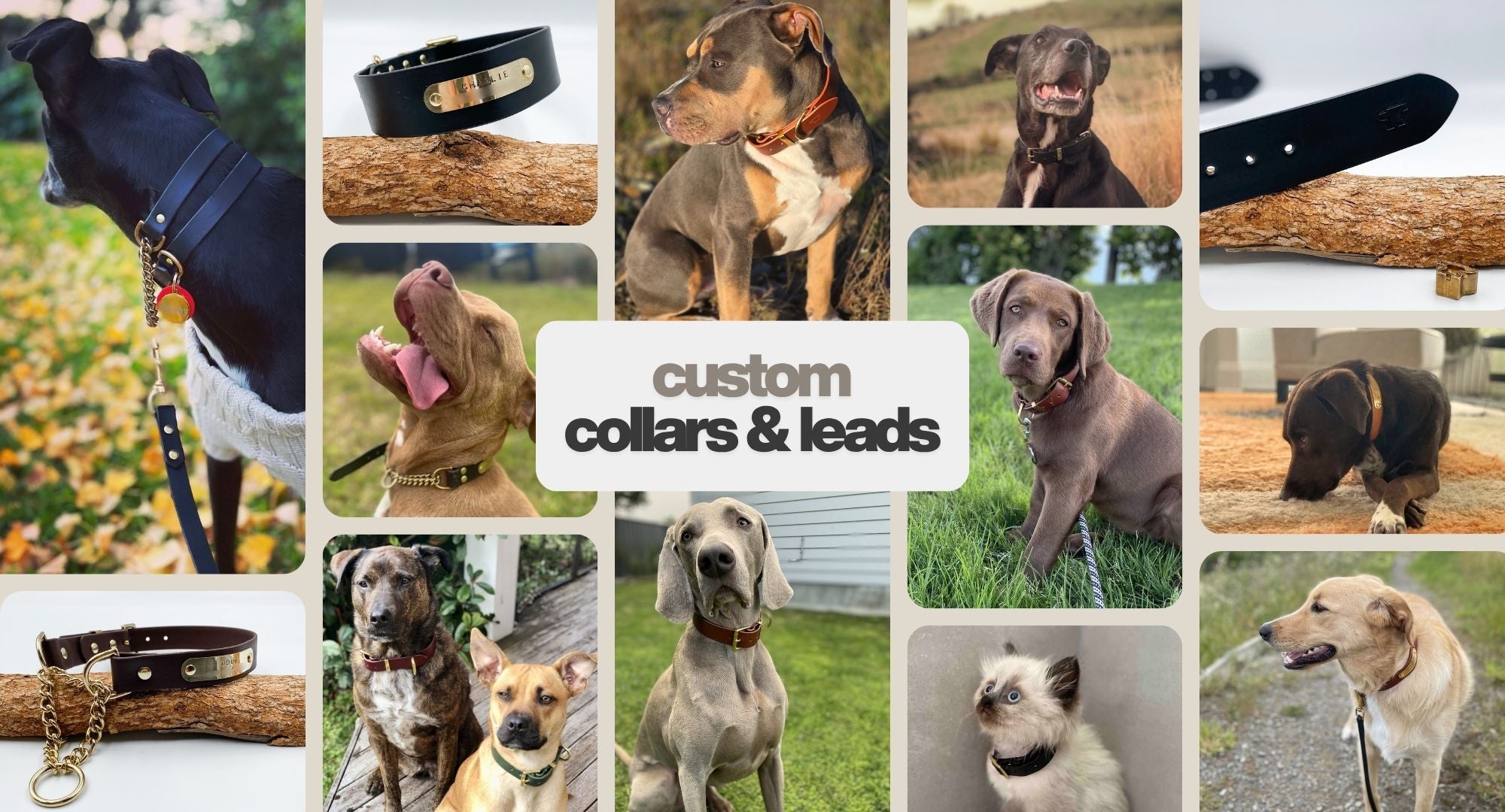 Collage of dogs wearing custom collars and leads with text 'custom collars & leads'.