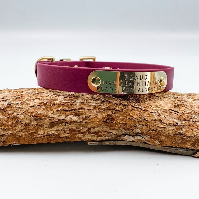 Purple leather dog collar with a gold and green tag on a wooden log