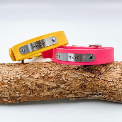 Yellow and pink dog collars with engraved names on a wooden branch