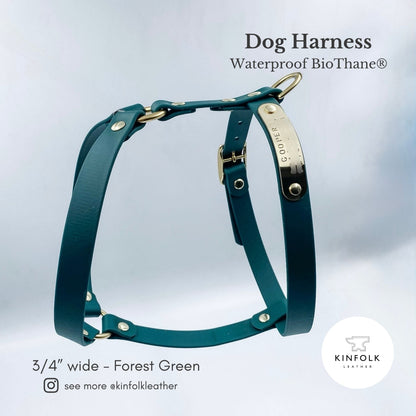 Waterproof dog harness  made from forest green biothane with brass buckle and nameplate