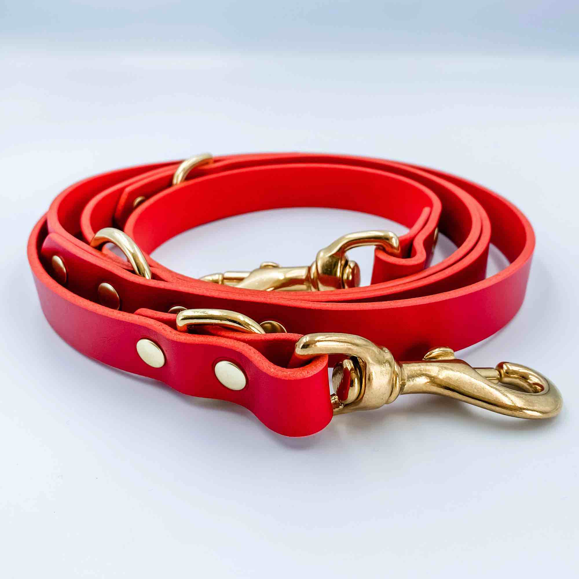 Leather dog training outlet lead