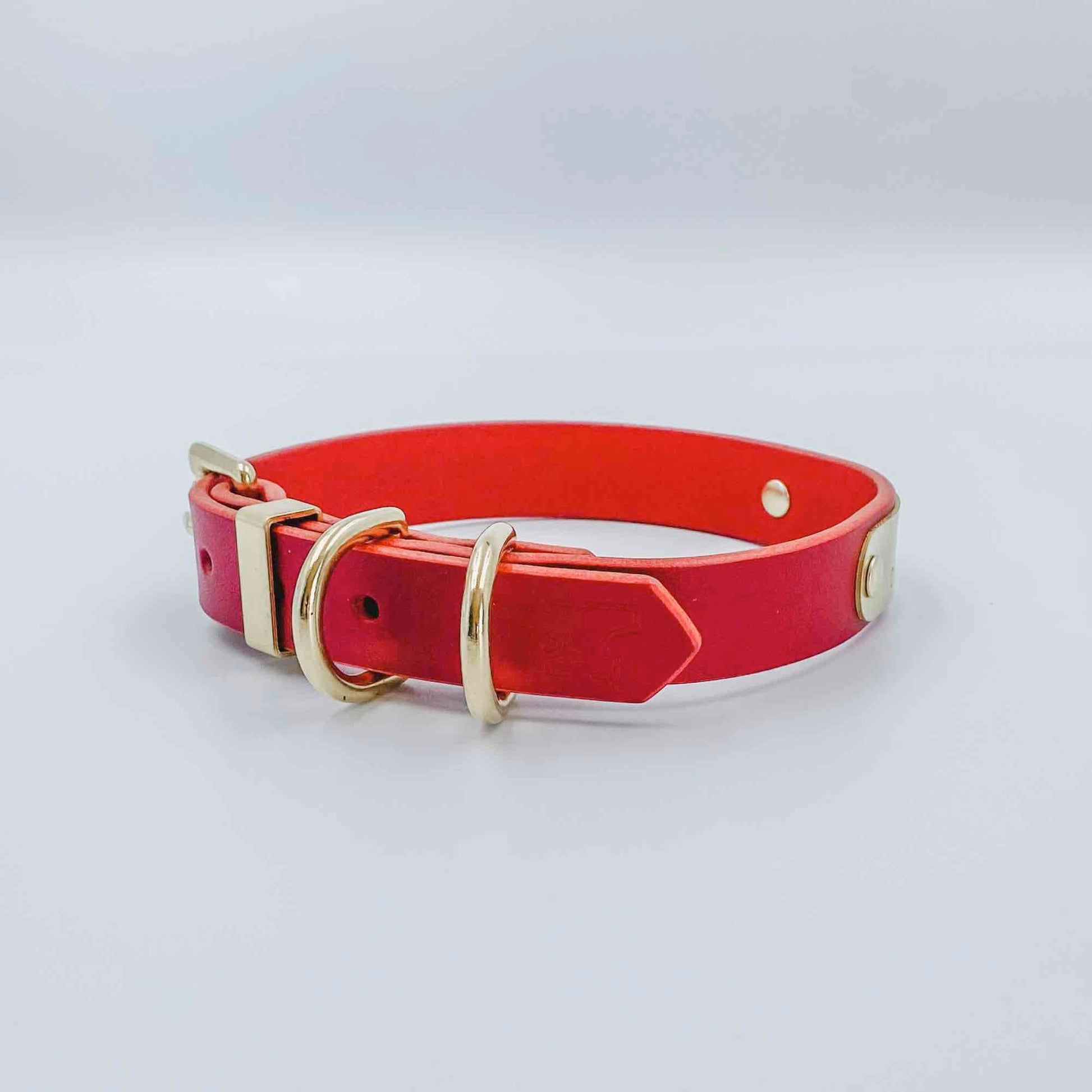 Double D-Ring Leather Dog Collar (includes hand-stamped nameplate) - 1/2" (12mm) Gold - Kinfolk Leather