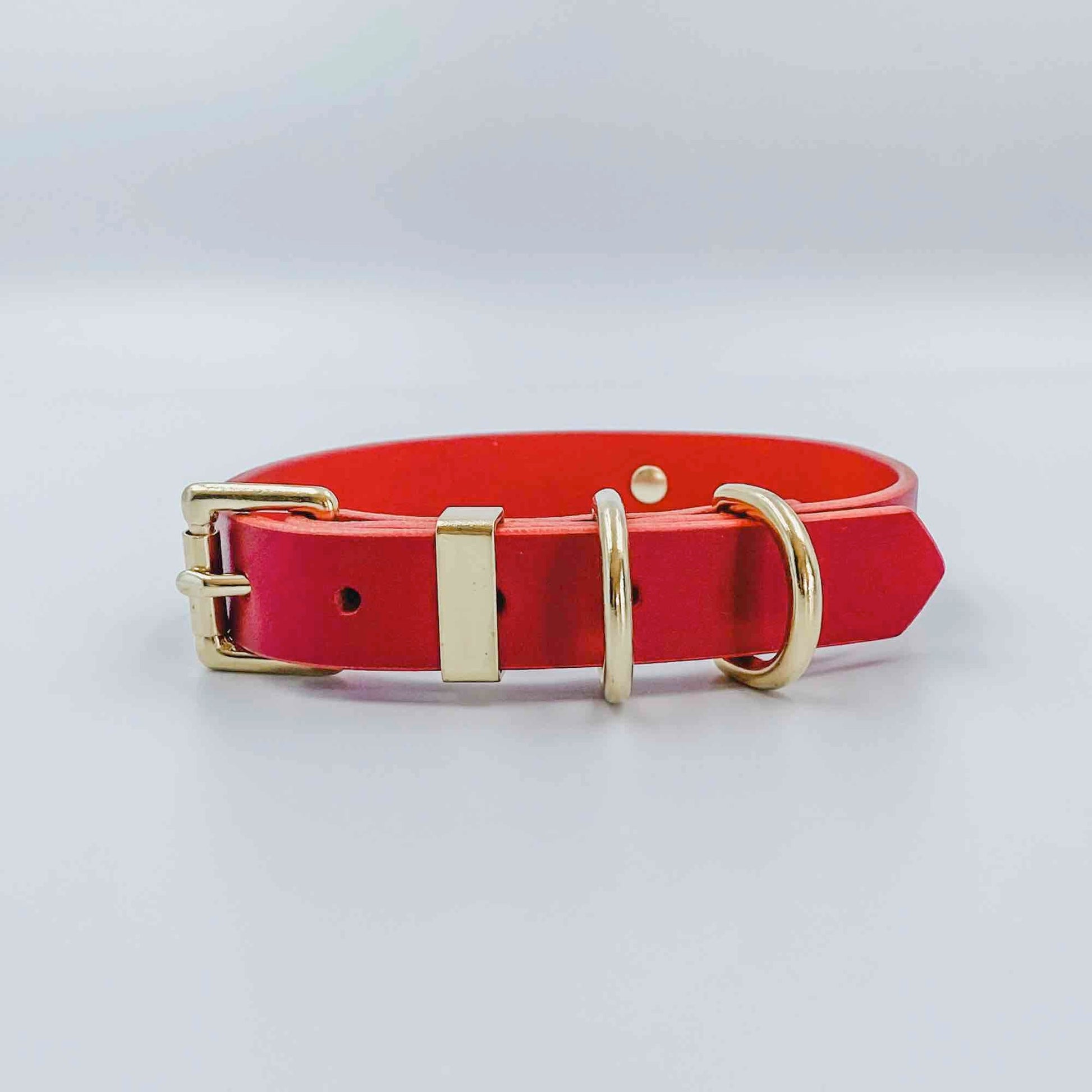 Double D-Ring Leather Dog Collar (includes hand-stamped nameplate) - 1/2" (12mm) Gold - Kinfolk Leather