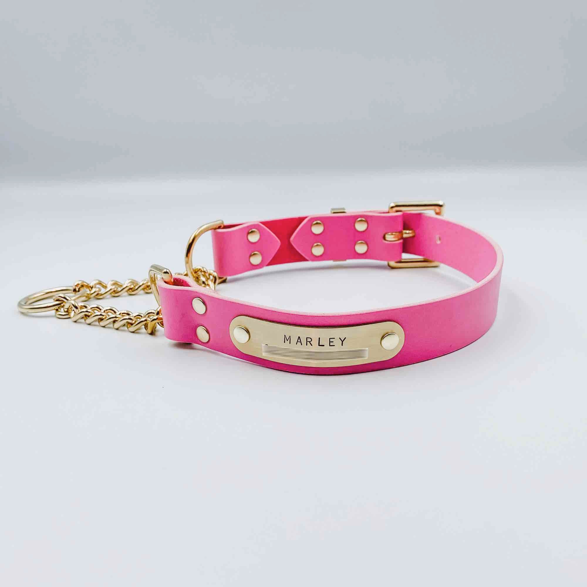 Martingale collar hot sale with nameplate