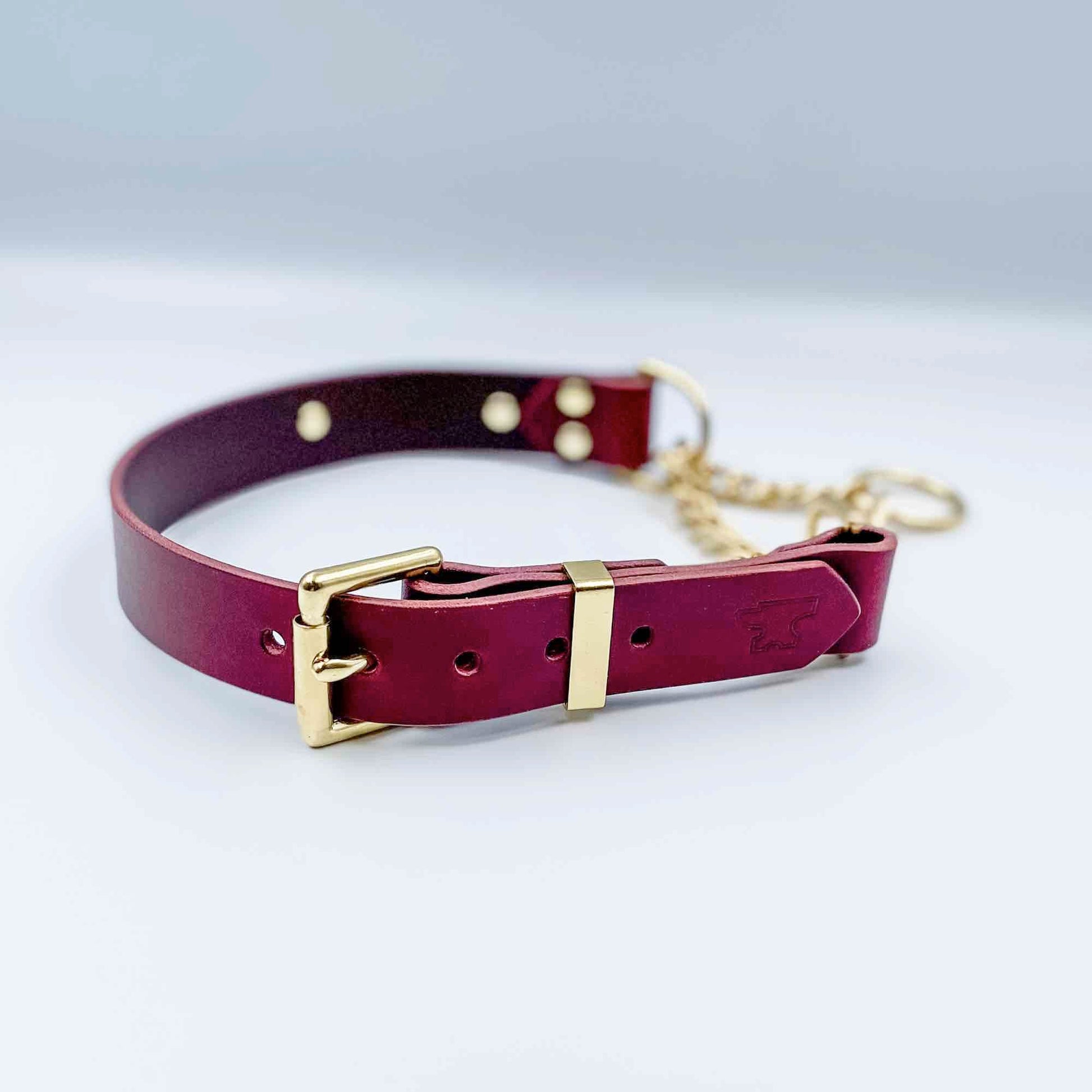 Leather Martingale Dog Collar with Nameplate (adjustable) - 3/4" (19mm) Brass (Gold) - Kinfolk Leather