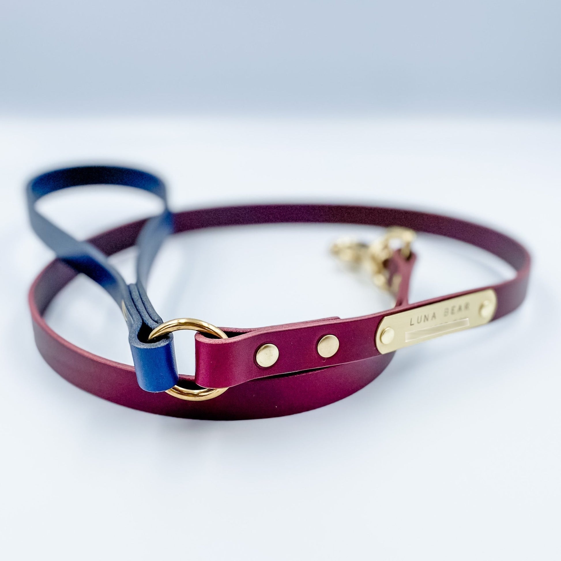 Leather & Solid Brass Dog Leash / Lead (with customisable handle) - 1/2" (12mm) Gold - Kinfolk Leather